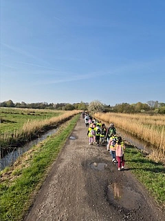 Eine Schulklasse läuft auf einem Weg im Grünen.