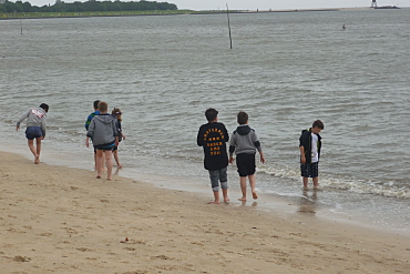 Muscheln sammeln und Sandburgen bauen
