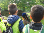 Projektwoche5