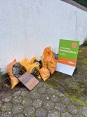 Bremen räumt auf Sammelstelle